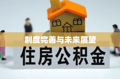 平和制度完善与未来展望