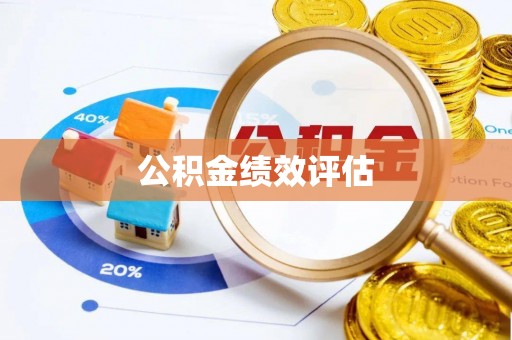 平和公积金绩效评估