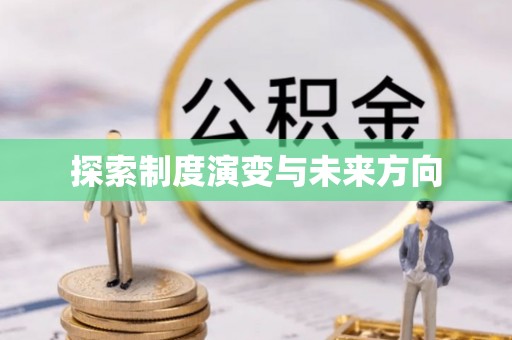 平和探索制度演变与未来方向