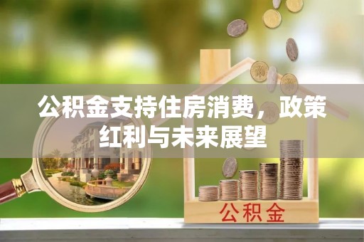 平和公积金支持住房消费，政策红利与未来展望