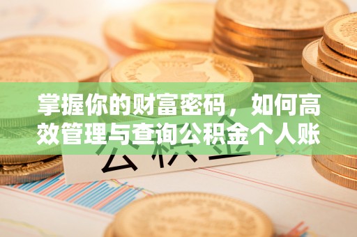 平和掌握你的财富密码，如何高效管理与查询公积金个人账户信息